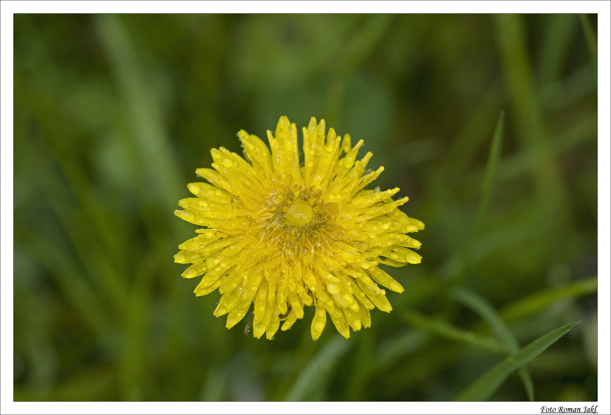 _DSC5877 web